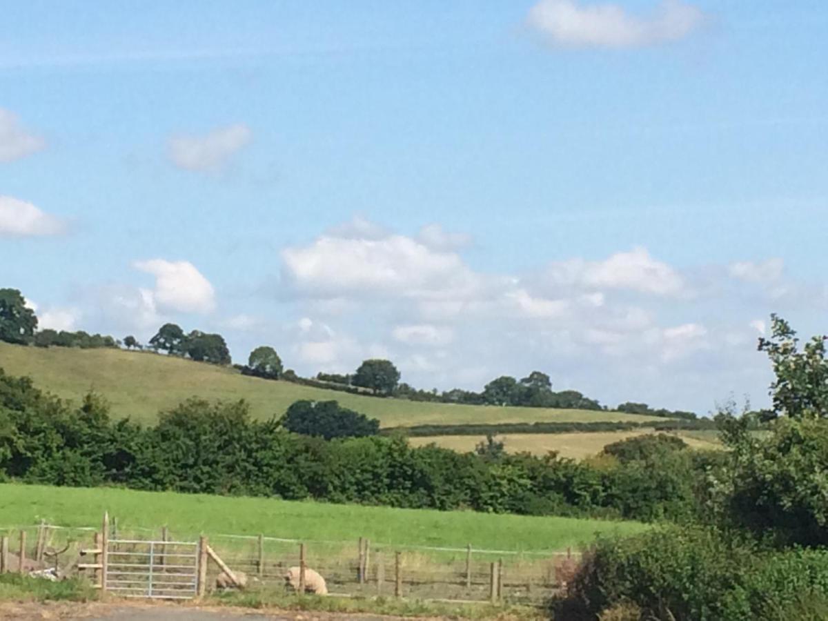 White Horse Inn Pulverbatch Shrewsbury Dış mekan fotoğraf